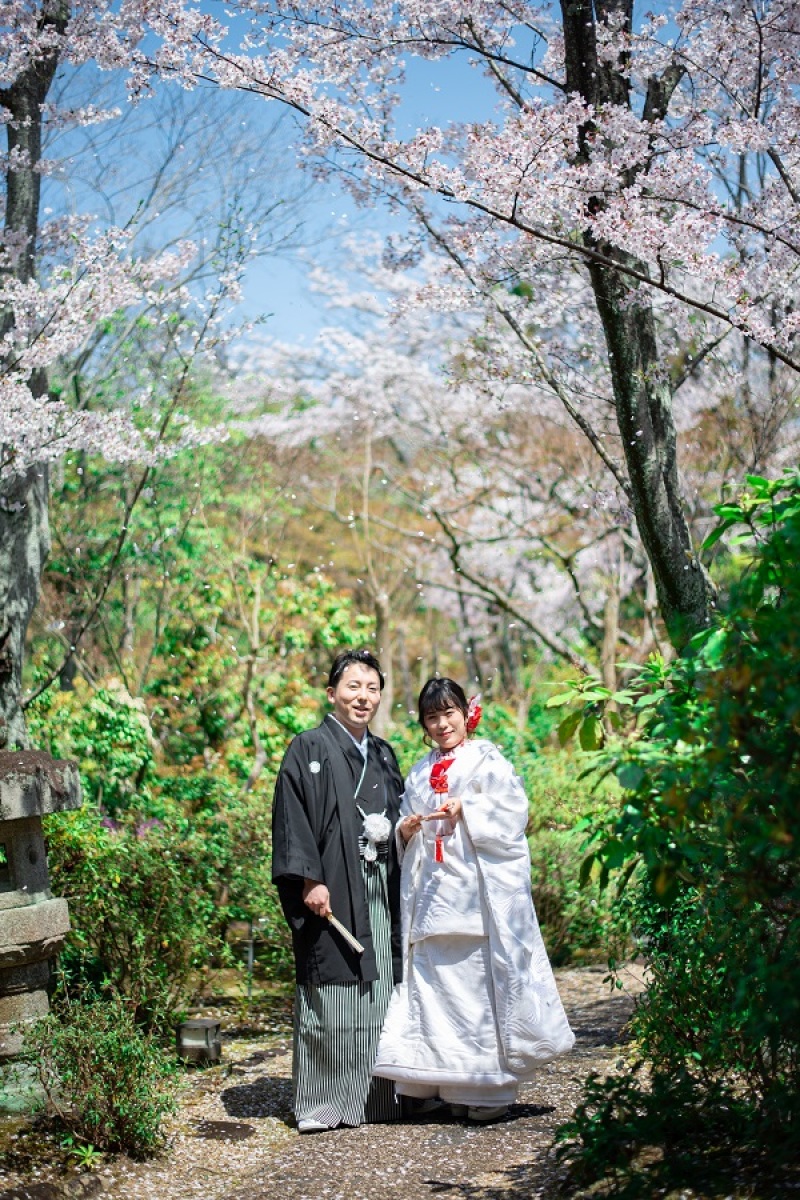 桜が舞い散る中、、