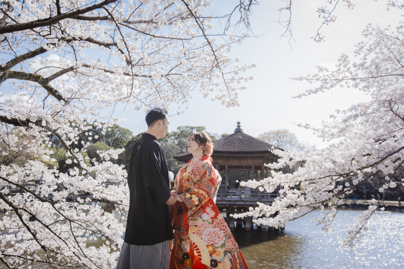 浮見堂を望む満開の桜ロケーションフォト