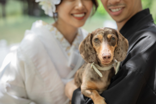 大好きな愛犬と～