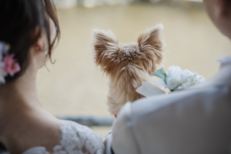 大切な愛犬も主役!