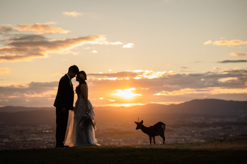 シルエットは小鹿と共に