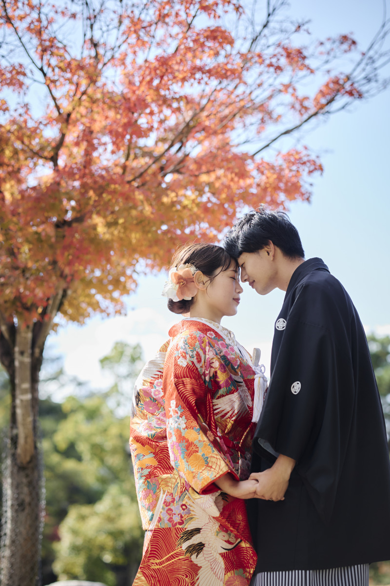 赤の色打掛と紅葉が良く似合います