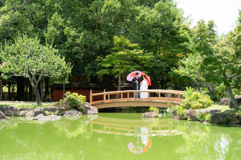 池に映る新緑も綺麗です！