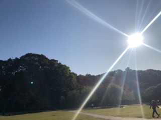 今年初の紅葉撮影