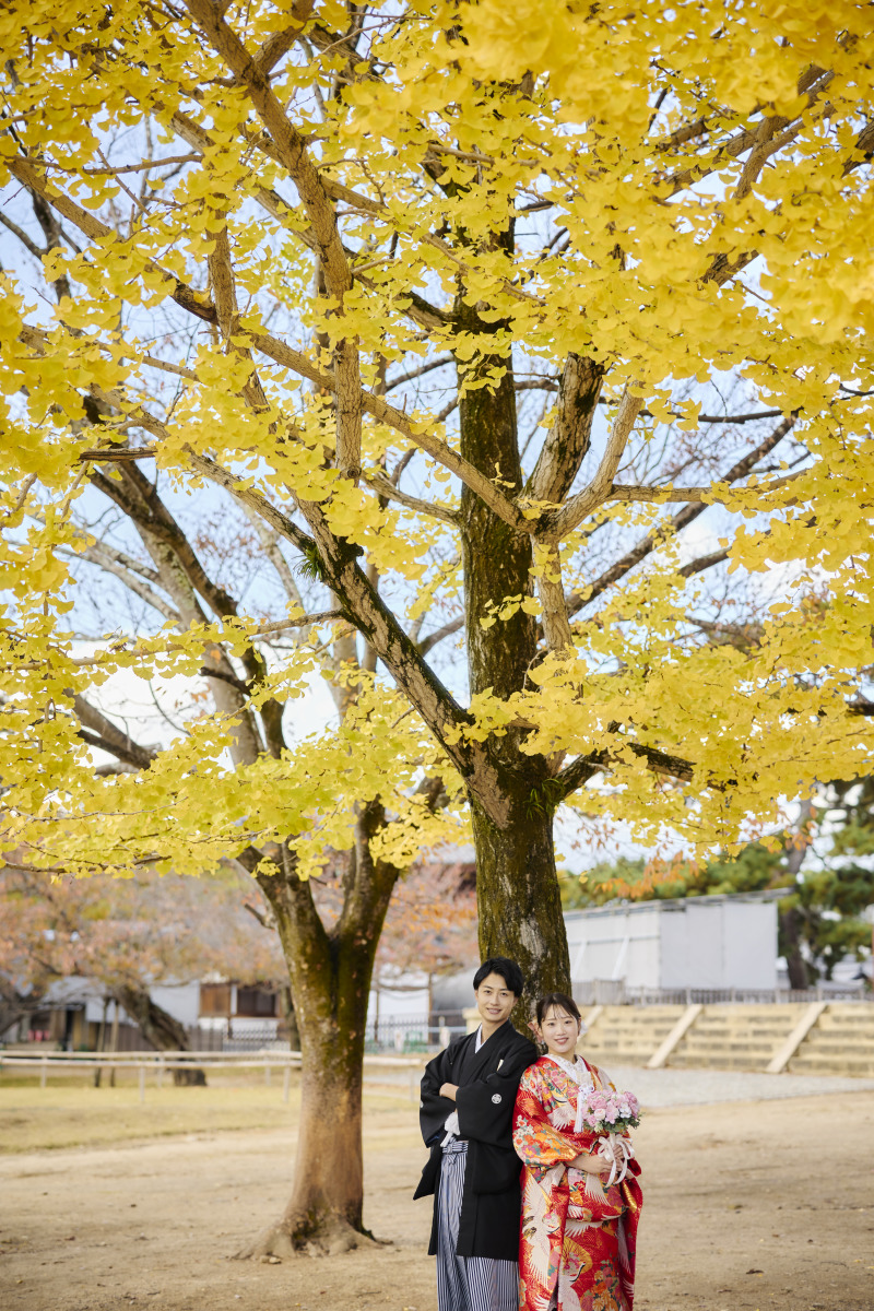 大きなイチョウの木の下で