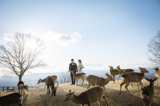 若草山の洋装撮影