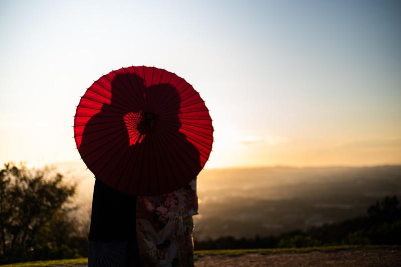 若草山にも鹿はたくさん♡♡