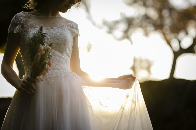 木漏れ日越しのドレス