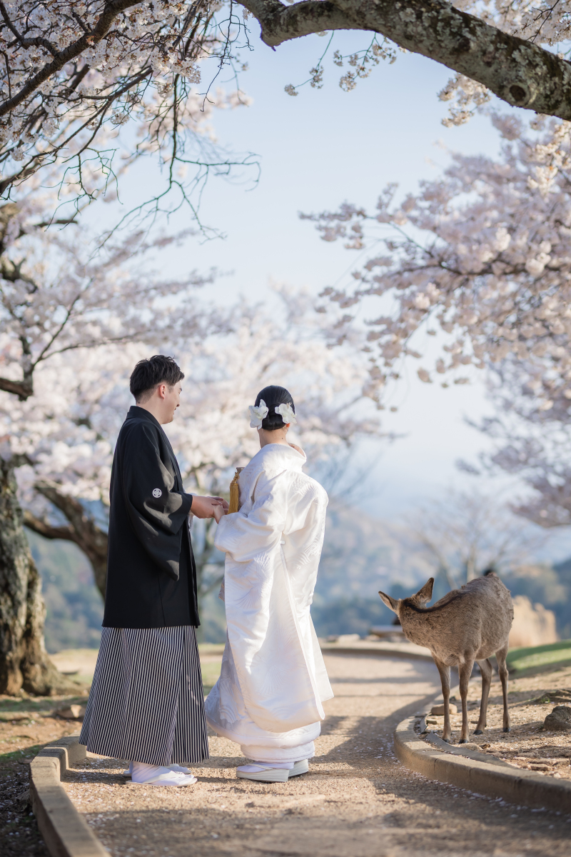鹿さんと同じポーズで