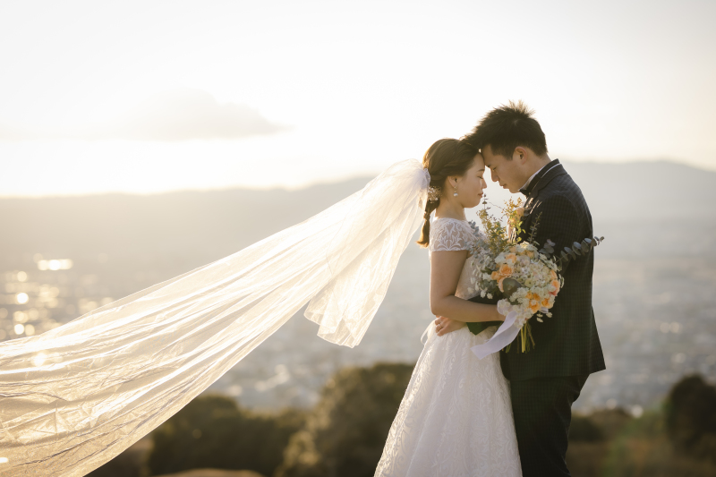 ベールと光のコラボレーション