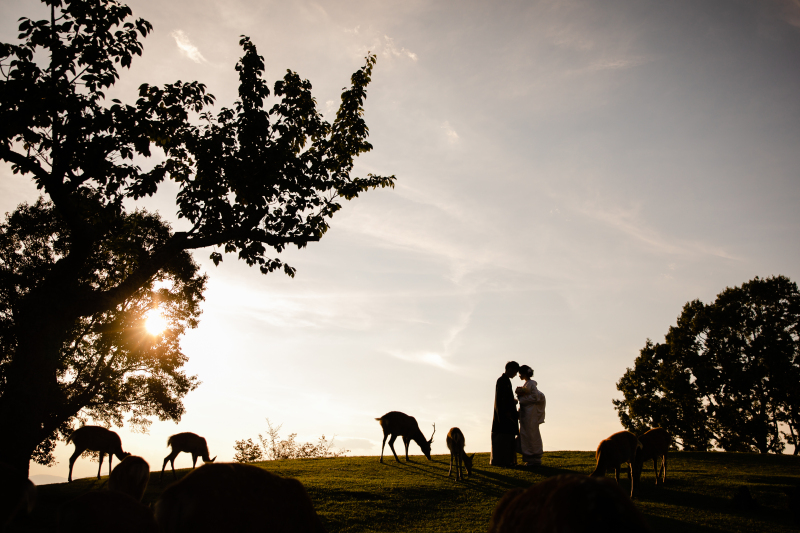 シルエットショットも頂きました