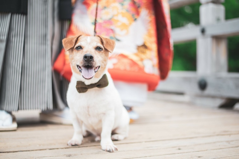 愛犬と記念撮影！