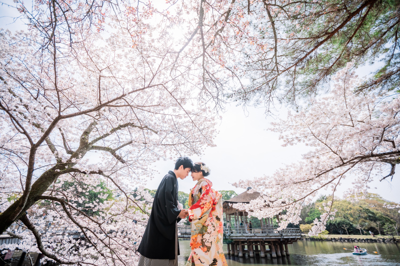 桜✖和装✖太陽