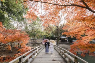 cheerful wedding
