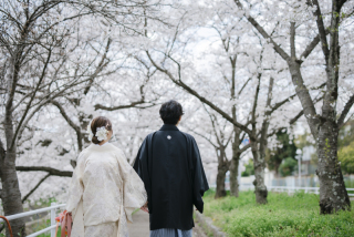 cheerful wedding_最新撮影データ紹介