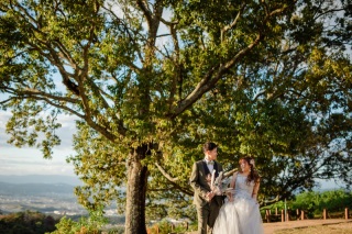 cheerful wedding_洋装撮影　若草山