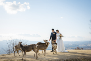 cheerful wedding_洋装撮影　若草山