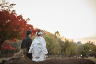 cheerful wedding_和装撮影 紅葉 浮見堂 奈良公園
