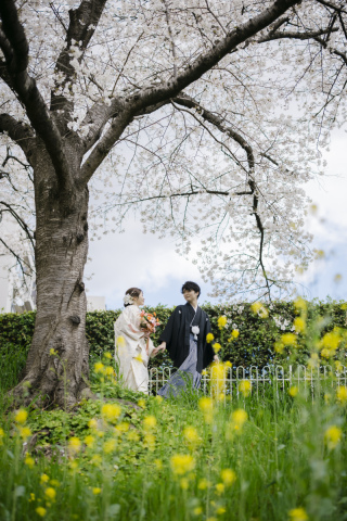 cheerful wedding_最新撮影データ紹介