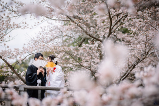 cheerful wedding_和装撮影　桜