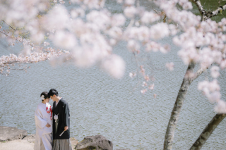 cheerful wedding_和装撮影　桜