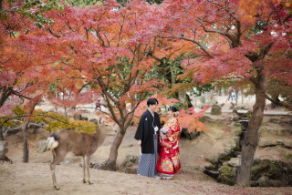 cheerful wedding_和装撮影 紅葉 浮見堂 奈良公園