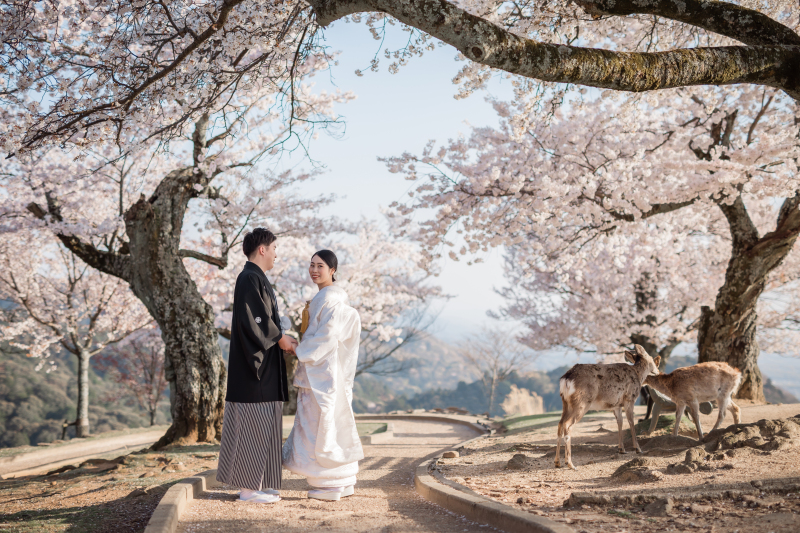 【2026桜前撮りキャンペーン　1着1か所￥95,700　全カットデータ豪華10大特典付き♪