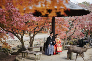 2025年紅葉撮影☆10月末までの成約の方のみ10％オフ☆　和装1着1か所￥90,000～（プラン変更可）