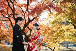 紅葉撮影残り3枠！！【12月2日3日4日】撮影日のみまず確保したい方～プラン相談～