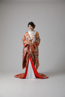 鳳凰赤ゴールド菊/IU00404