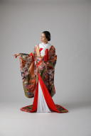 四季花 孔雀/ IU11593