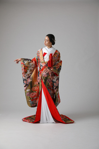 四季花 孔雀/ IU11593