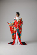 友禅　朱赤　鶴桜/ IU00255