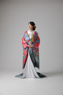 ピンクに黒ぼかし 菖蒲/IU00411