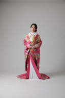 ピンク孔雀花づくし/IU00322