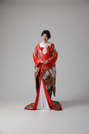 赤 紫ぼかし 鶴 観世水/ IU00418