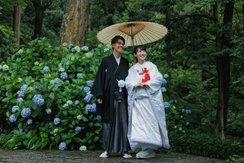 紫陽花と傘