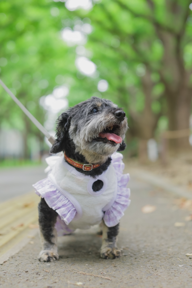 おふたりを見つめる目が素敵