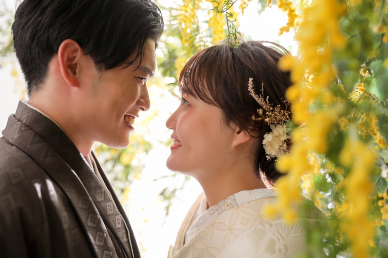 ミモザで撮影も