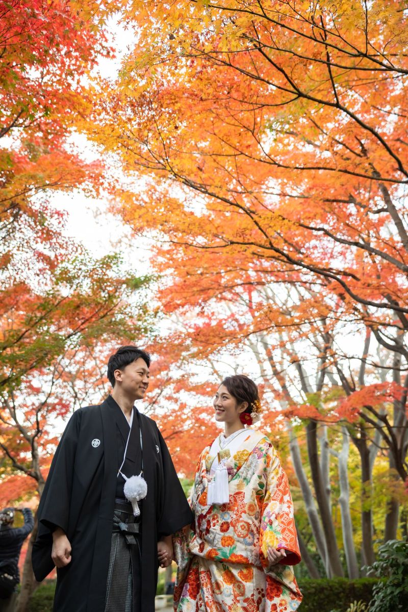 一面に広がる紅葉と