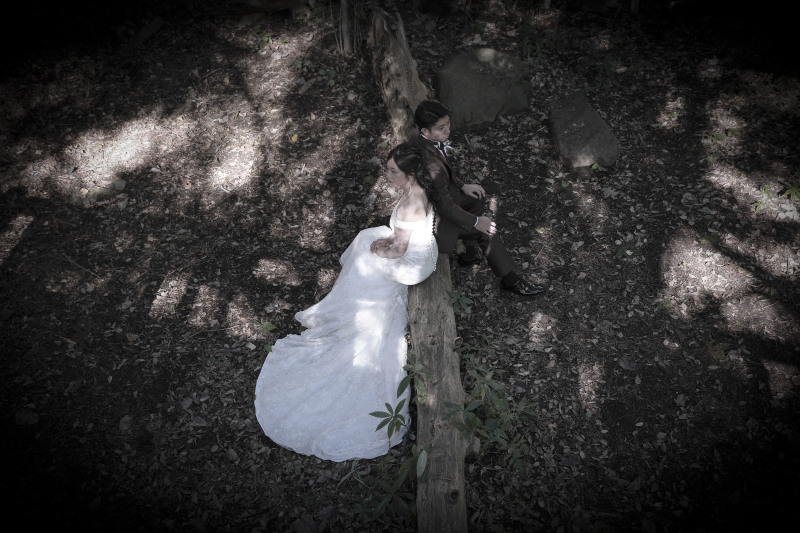 念願のショット