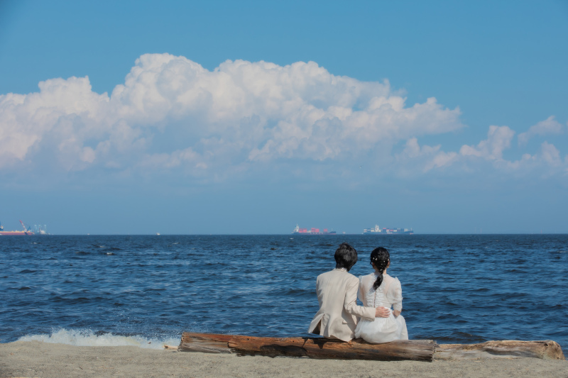 流木・入道雲