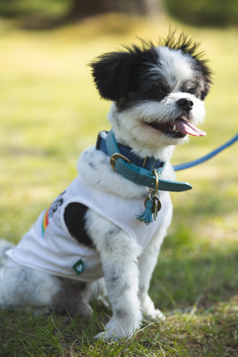 モデルさん！？