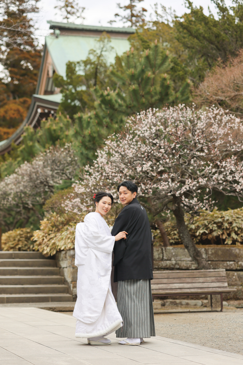 梅もこんにちはしてくれてました