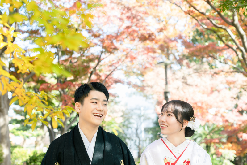 お散歩している風景