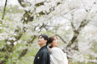 桜と和装ロケーション