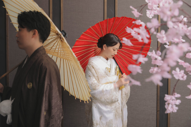 和傘×桜