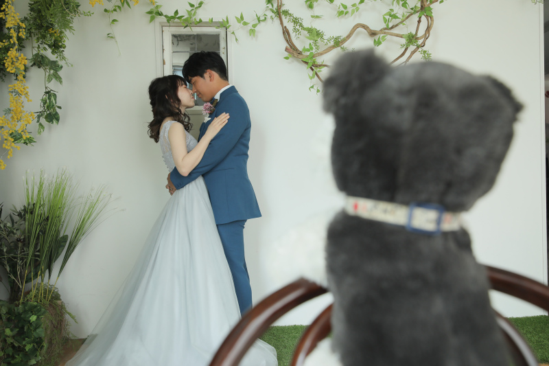 愛犬に見守られて