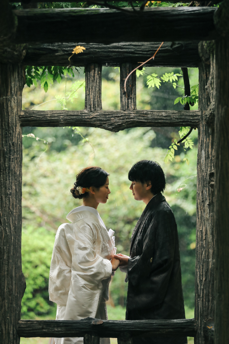 窓枠のような藤棚