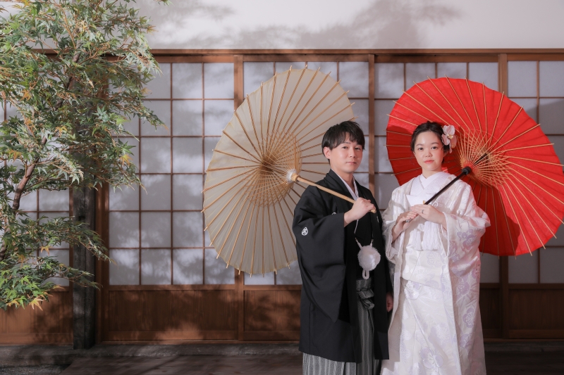 屋内庭園スタジオ